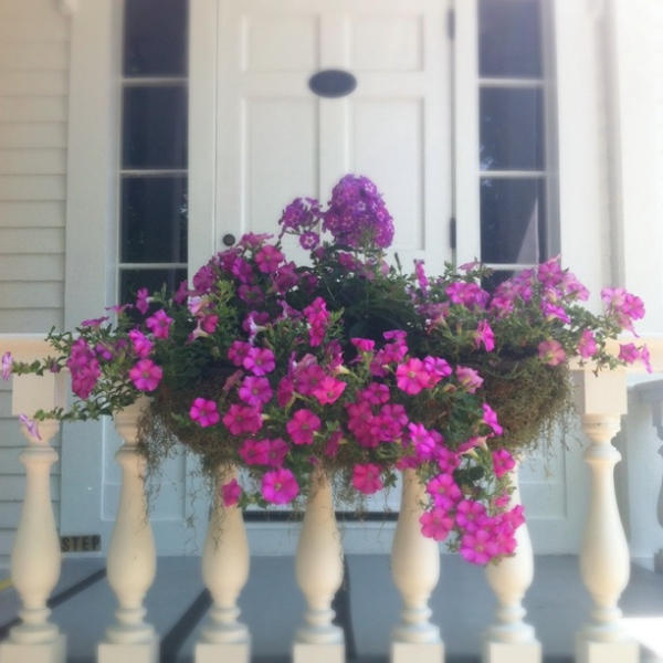 The Old Lyme Inn Extérieur photo